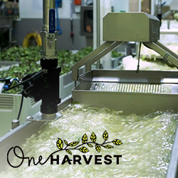 One Harvest Deploys SmartWash Solutions